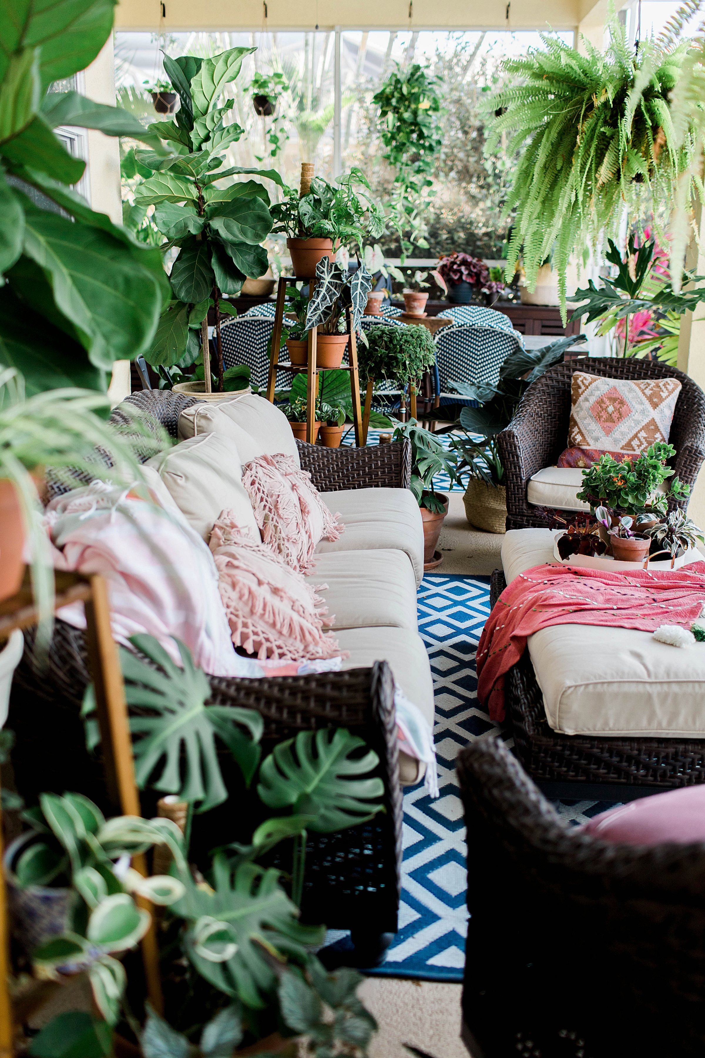 How To Decorate With House Plants!